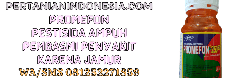 promefon,fungisida,pestisida,promefon 250 ec,penyakit,jamur,pertanian indonesia